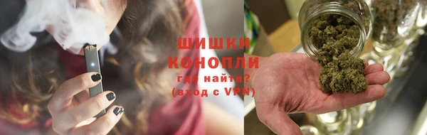 хмурый Белокуриха