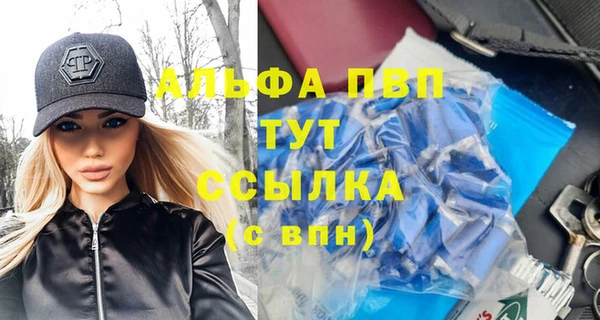 хмурый Белокуриха