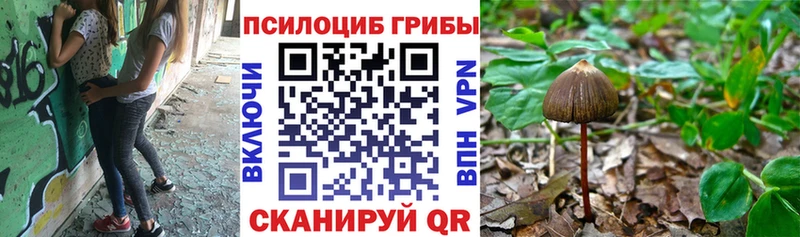 где найти   Котовск  Псилоцибиновые грибы прущие грибы 